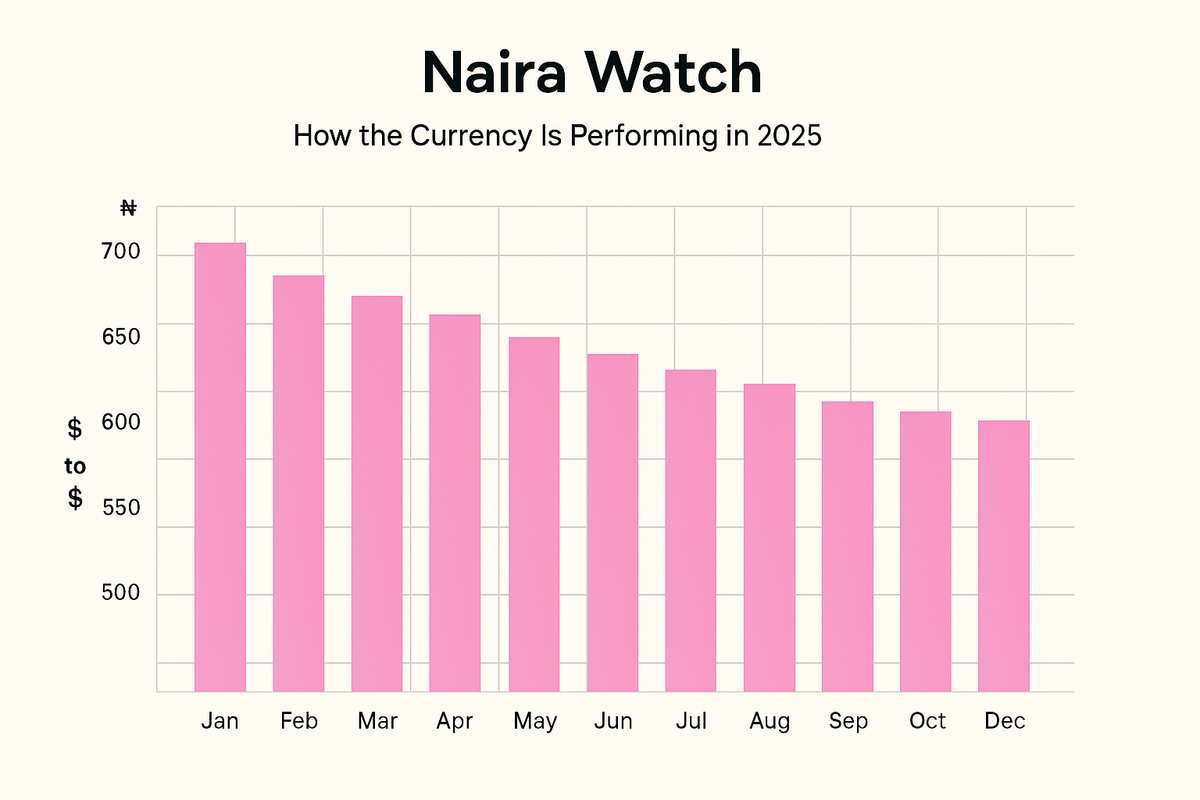 Naira Watch: How the Currency Is Performing in 2025